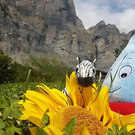 Beau-séjour 3* Leukerbad