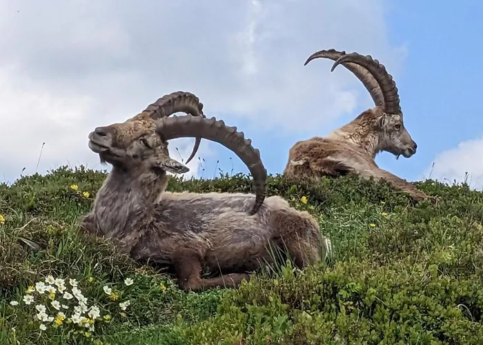 Beau-sejour Hotel 3*