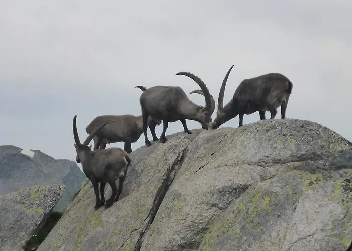 Beau-sejour Leukerbad