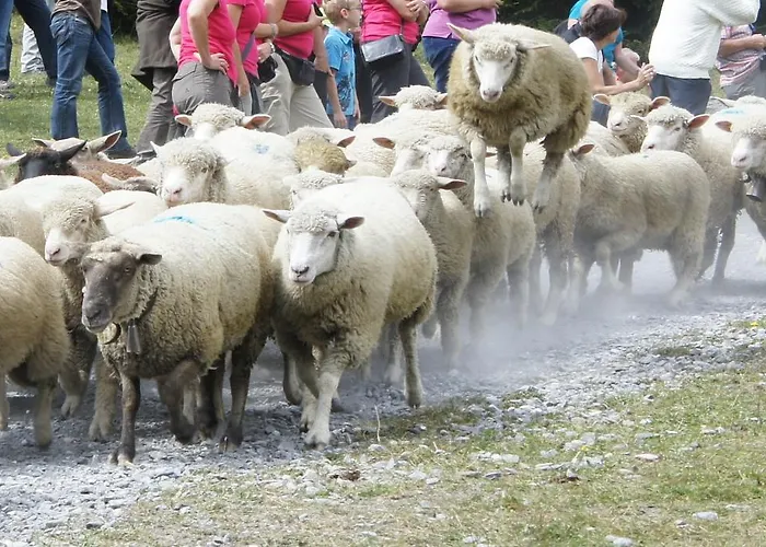 Ξενοδοχείο Beau-sejour