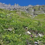 Beau-sejour Leukerbad