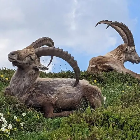 Beau-sejour Hotel 3*