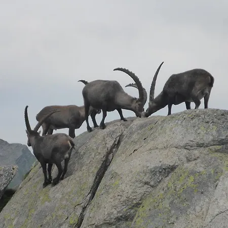 Beau-sejour Leukerbad