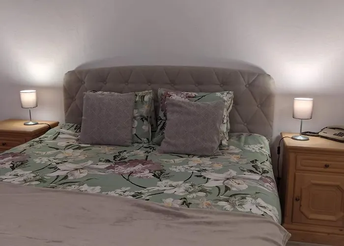 堡赛约尔酒店 3* 洛伊克巴德