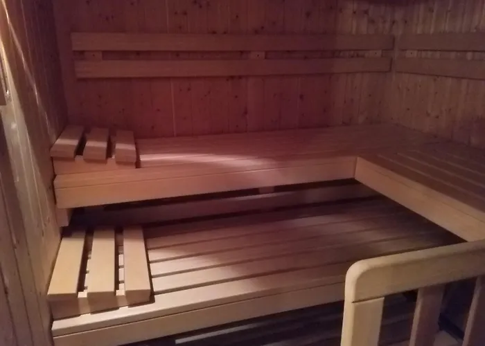 堡赛约尔酒店 洛伊克巴德