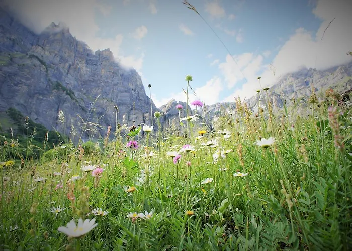 堡赛约尔酒店 酒店