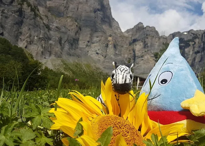 堡赛约尔酒店 3* 洛伊克巴德