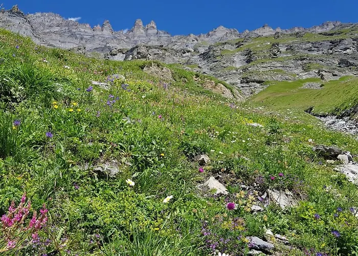 堡赛约尔酒店 洛伊克巴德